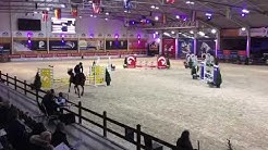 Cote d'Or Z  - 4y/o stallion Competition Lier