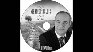 Mehmet DALGIÇ-Al yarim buda sana Resimi