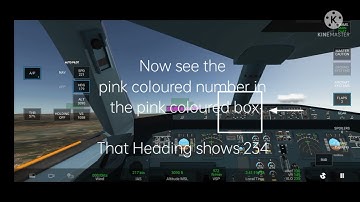 Autopilot Settings Tutorial | RFS Rortos | United Aviation |