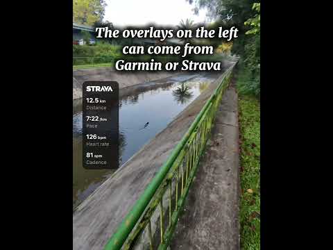 Meta AI for running: Review of video and podcast features