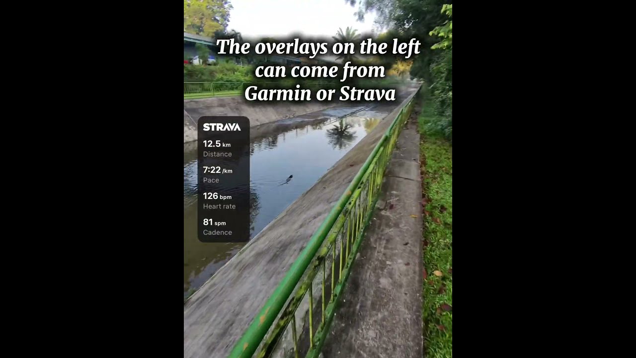 YouTube player