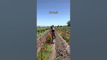 Давай уходить на фриланс? #presentation #design #uxdesign #ux