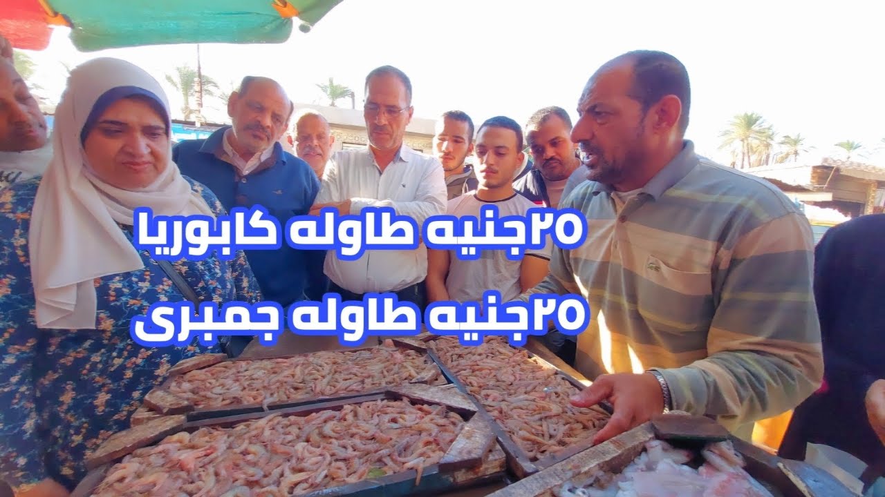 المكان الوحيد اللى تشترى منه| سمك وجمبرى وسبيط| بسعر رخيص مزاد المعديه