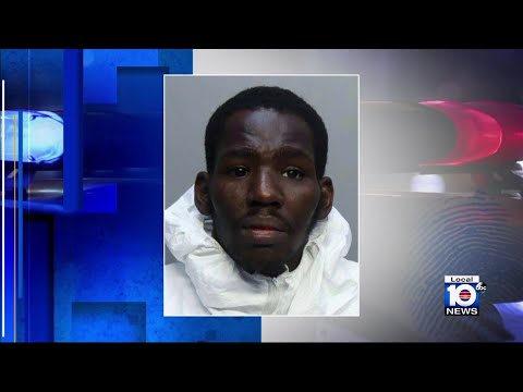 Miami-Dade felon jailed after girl, 4, shot by 3-year-old brother, sources say 