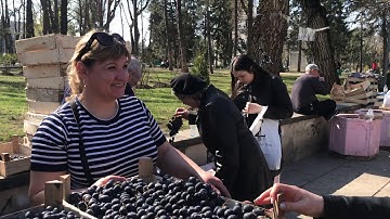 Grapes of Moldova
