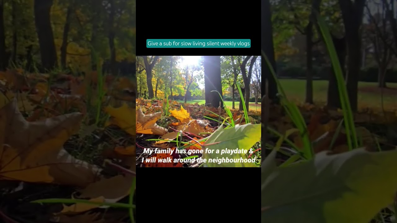 slow living diaries Autumn walk 