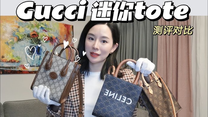 Is the Celine mini vertical cabas bag worth the 💰?, Video published by  cora🤍