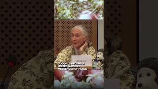 Jane Goodall Dies at 91 | Legacy Remembered