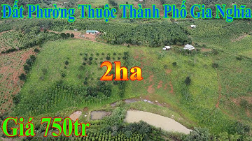 2ha Phường Quảng Thành Thành Phố Gia Nghĩa Giá 750tr - Hồng Hưng Đăk Nông