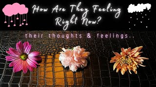 Pick A Card🌸INTUITIVE Flower Reading *Channeled* Their Thoughts 💭 And FEELINGS About YOU Right NOW💌