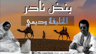 الخليفة ولد أيده و ديمي منت آبه