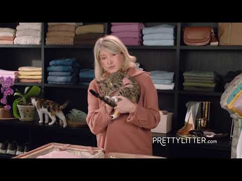 Pretty Litter YouTube ad: On The Go With Martha Stewart – PrettyLitter