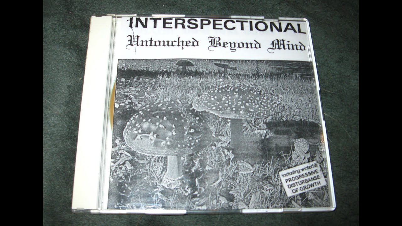 Interspectional - Untouched Beyond Mind