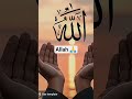Allah Love Allah Likha