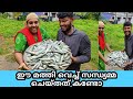 How to make sardine curry in malayalam |kerala style matthycury |vishnu azheekal kadalmachanspecial