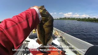 Monster Peacock Bass Lake Air Kuning Perak Soft Plastic Fishing screenshot 2