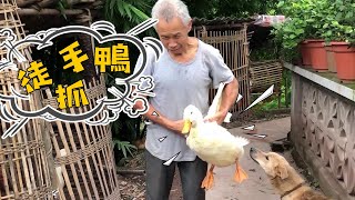 What's the experience of visiting the countryside Rural uncle catching duck with bare hands