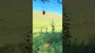 pedal com a P2A sabadão