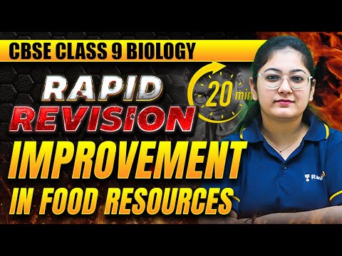 Improvement in Food
