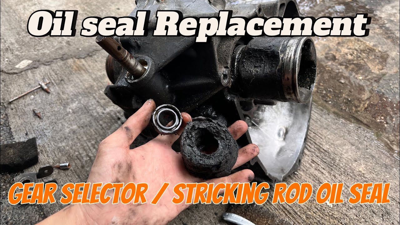 Transmission Oil Seal Replacement Nissan Sentra ECCS (Gear Selector / Stricking Rod oil Seal)
