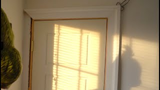 Casing A Door For Wainscoting Backband Architrave