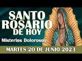 Santo Rosario MARTES 20 de JUNIO, Rosario a Virgen de Guadalupe 🌹 MISTERIOS DOLOROSOS