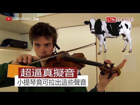 神乎其技擬音技術！ 比利時神人用小提琴「開動物園」啦！