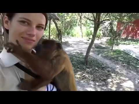 OMG Monkey Kissing Girl.😱😱😱