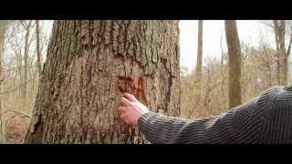 For Anabela- FirstGlance Film Fest Trailer