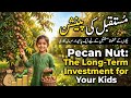 مستقبل کی پینشن | Pecan Nut: The Long-Term Investment for Your Kids