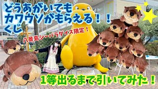 八景島シーパラダイス限定！】どうあがいてもカワウソがもらえるくじ1
