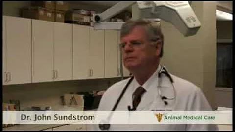 Dr. John Sundstrom - Why is spaying / neutering im...