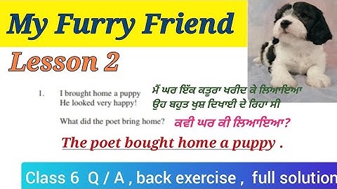 class 6 English chapter 2 My Furry Friend question answer solution lesson 2 studio yt#trending