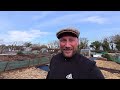 UK Allotment Update | No Dig Winter Jobs to Prepare for Spring | January