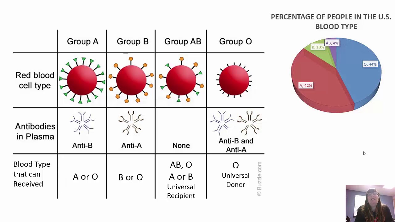 Patterns of Genetic Inheritance Beyond Mendel's Law Chapter 10 part 2 BI 114
