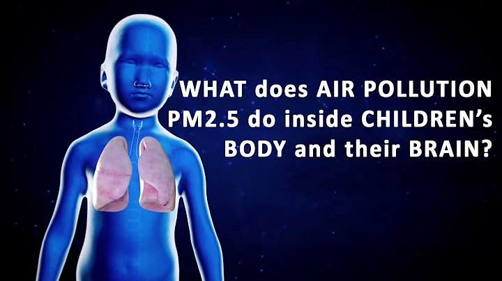 What does Air Pollution PM 2.5 do inside children's body and brain? (English) - DayDayNews