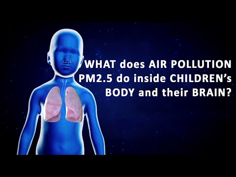 What does Air Pollution PM 2.5 do inside children's body and brain? (English)