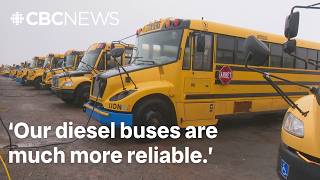Why P.E.I. is ditching plans for an all-electric school bus fleet