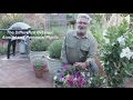 What is the Difference Between Annual and Perennial Plants What is the Difference Between Annual and Perennial Plants