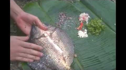 Cá nướng mắc khén ✦ Ẩm thực Tây Bắc ✦ P1