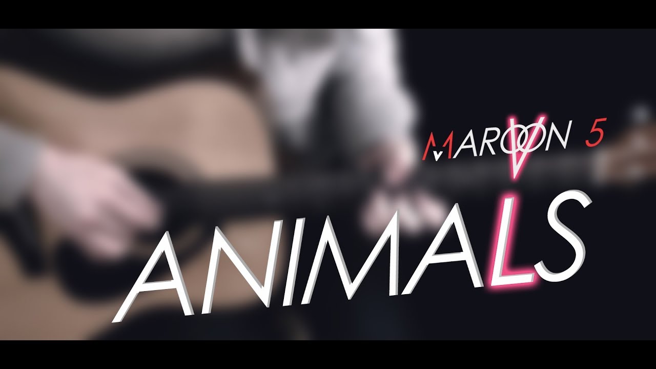 Maroon 5 Animals (fingerstyle guitar cover) YouTube