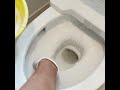 便器の内側をオキシ漬けしてみた!