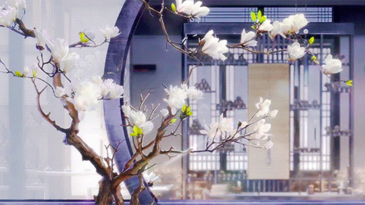 Guarda Omaure - Coriander su YouTube Guarda Omaure - Coriander su YouTube