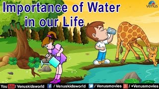 Importance of Water in our Life