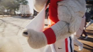 Hairy Dawg and Spike's Perfect Day | Dawg Day of Giving 2025