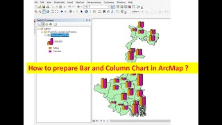 How to prepare Bar and Column diagram in ArcMap II Details descriptions II Bar Chart II Histogram