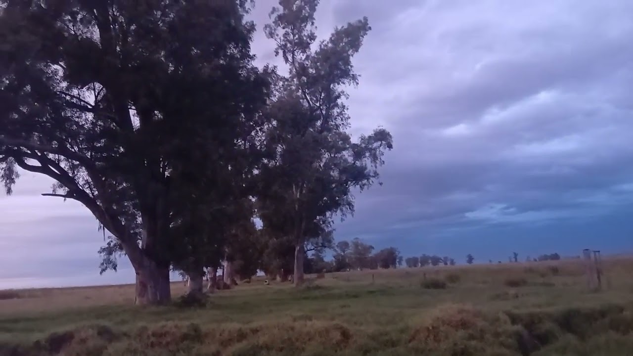 Variando los jilgueros..nos corrio el agua..cosas q pasan en verano...!!! 