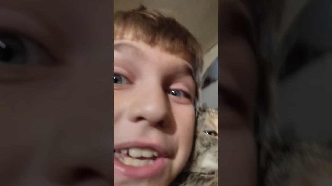 27 ноября 2024 г.