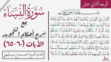 كيف تقرأ سورة النساء مع شرح أحكام التجويد| ٦٠-٦٥