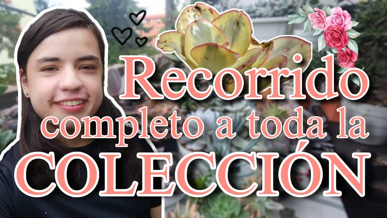 🌵🪴RECORRIDO Completo por TODAS las PLANTAS del balcón 🌵🪴/ @PachyAmor